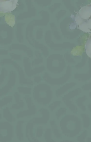 TENSCIENCE_FACE_NOIMPURITY