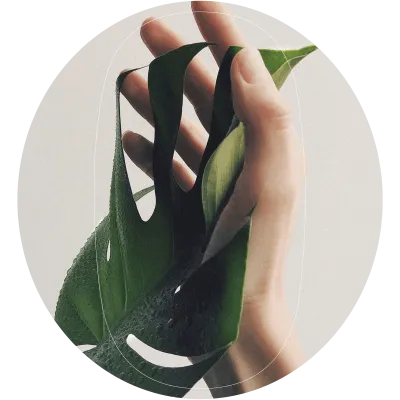 Chimica-verde_1.png
