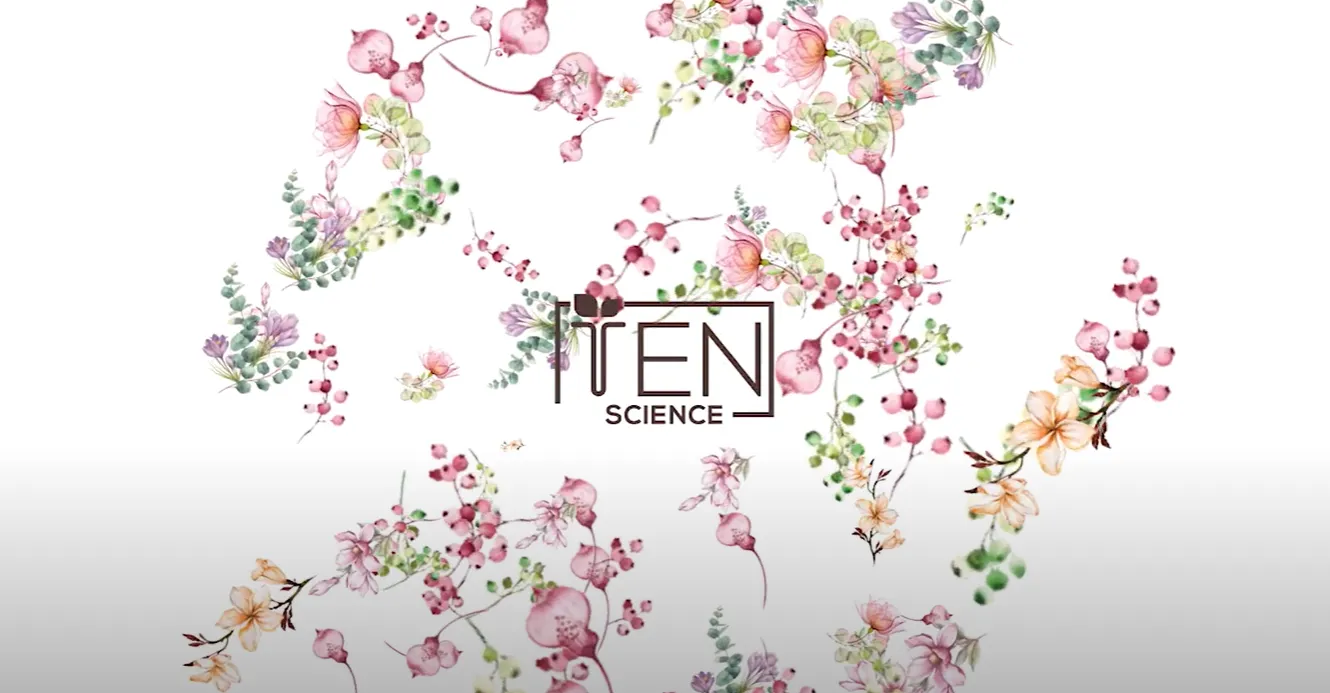 cover-image-ts.png